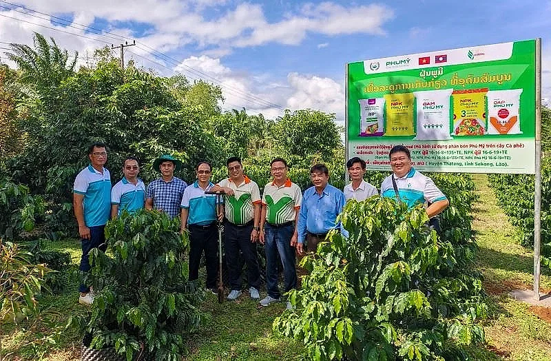 Phú Mỹ tăng cường hợp tác phát triển nông nghiệp tại Lào