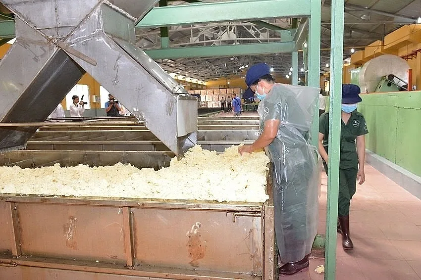 Giá cao su thế giới lên cao nhất 9 năm do giá dầu tăng mạnh