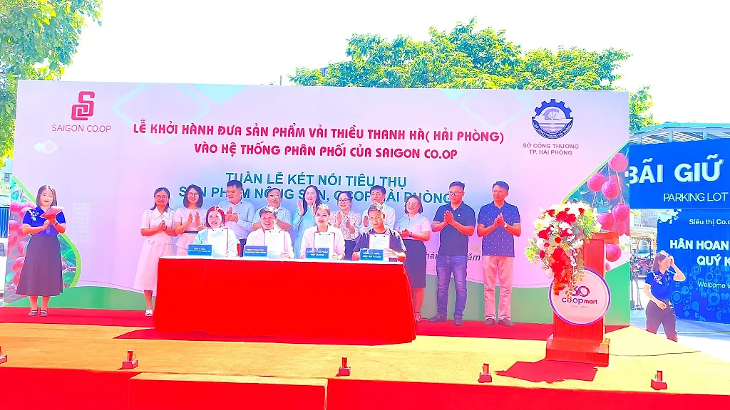 Saigon Co.op đưa Vải Thanh Hà vào hệ thống phân phối toàn quốc