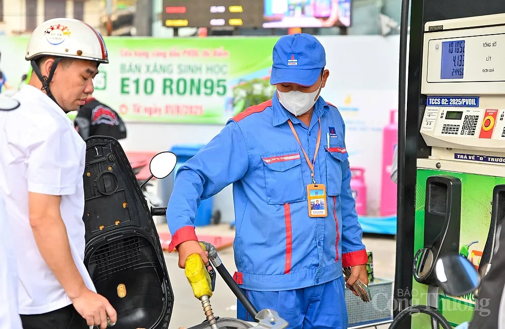 Chủ tịch Hiệp hội Nhiên liệu sinh học: Không tự ý pha phụ gia vào xăng E10