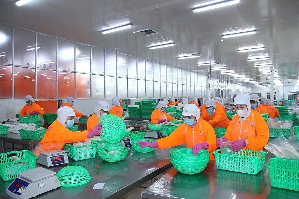 Tín dụng tăng tốc cùng nhịp phục hồi kinh tế tại TP. Cần Thơ và tỉnh Vĩnh Long