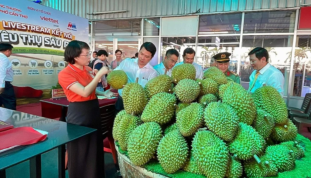 Cần Thơ mở tuần lễ cao điểm tiêu thụ sầu riêng, đẩy mạnh bán hàng số — Sở Công Thương TP. Cần Thơ