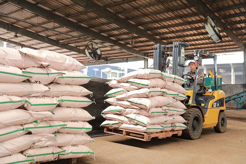 Phân bón hữu cơ Greenma khẳng định vị thế hàng đầu trong cung ứng sản phẩm chất lượng cao