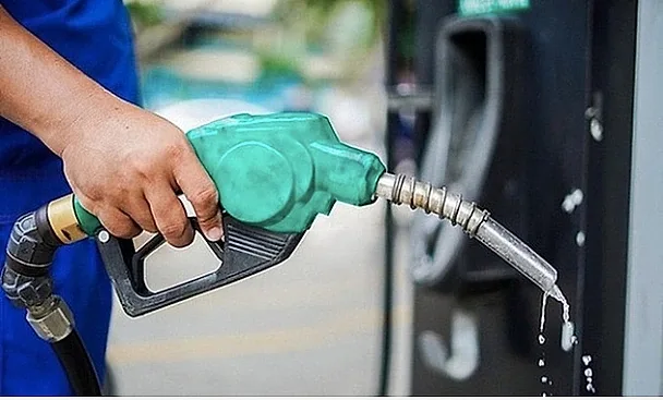 Thu hồi giấy xác nhận phân phối xăng dầu của công ty Cửu Long