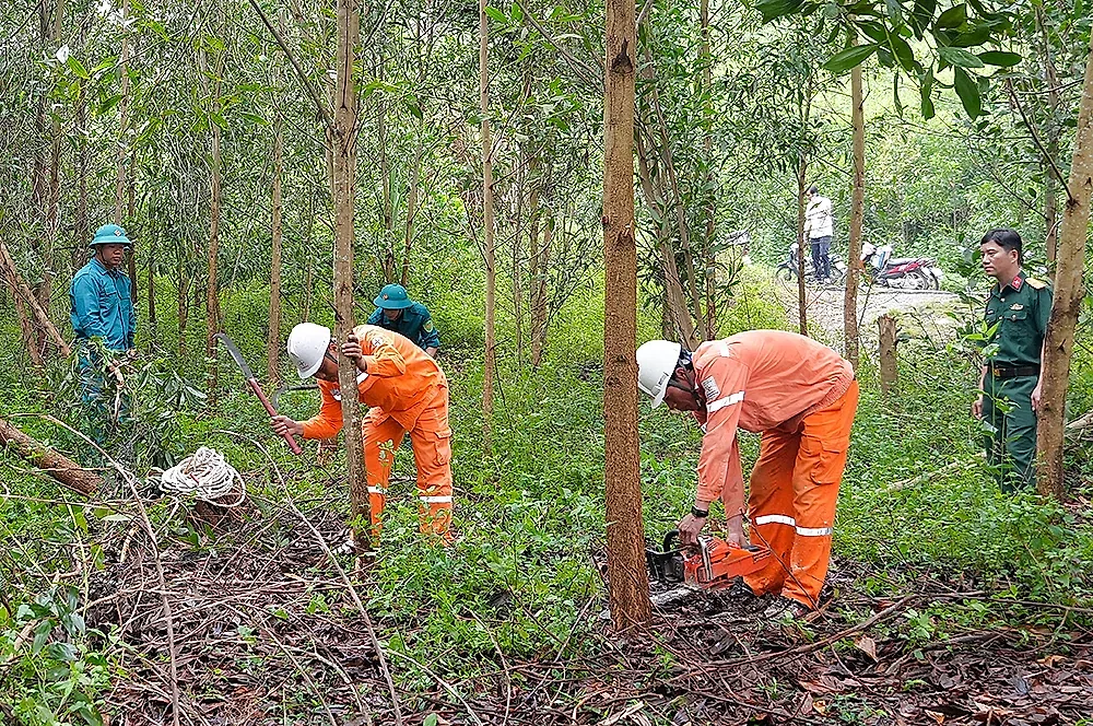 Thanh Hóa siết chặt bảo vệ hành lang lưới điện trước mùa mưa bão