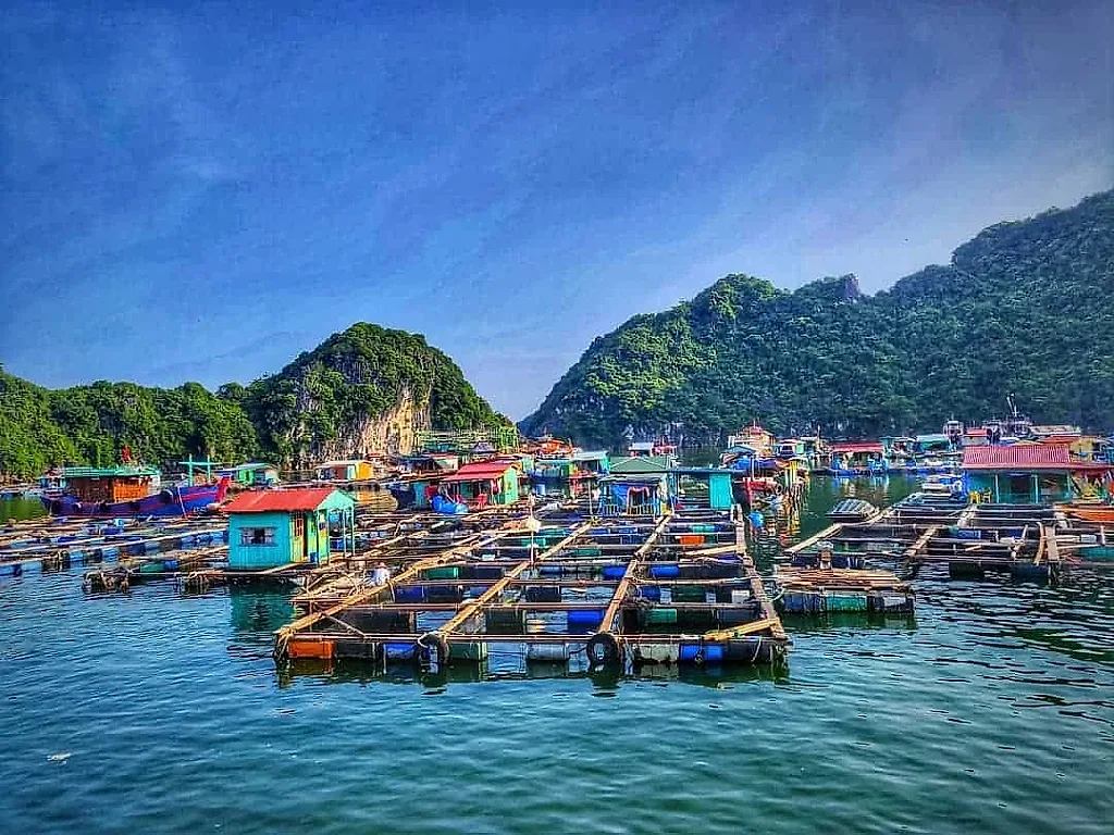 làng chài Cửa Vạn