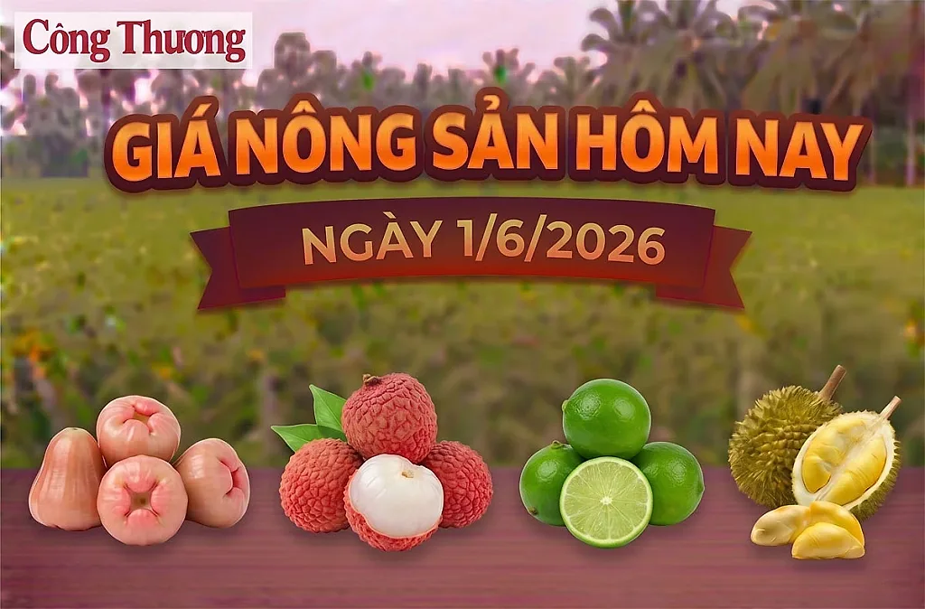 Giá nông sản hôm nay, ngày 1/6: Giá vải u trứng tăng mạnh — HTX Vải trứng Đoàn Đào