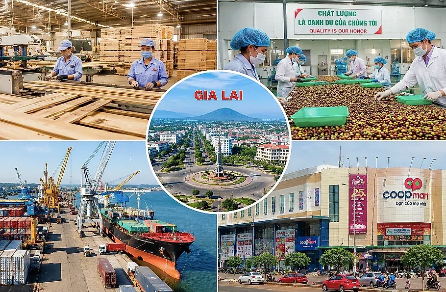 Gia Lai: Sản xuất công nghiệp, xuất khẩu và bán lẻ đồng loạt tăng