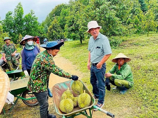 Lợi thế đặc biệt của sầu riêng nhà bầu Đức trong thị trường nhiều biến động