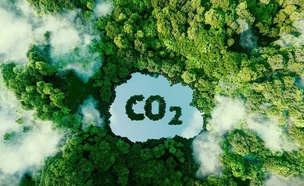 Thị trường carbon toàn cầu bước vào cuộc đua chất lượng tín chỉ — World Bank