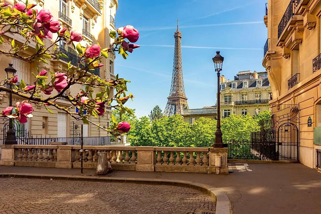 paris.jpg