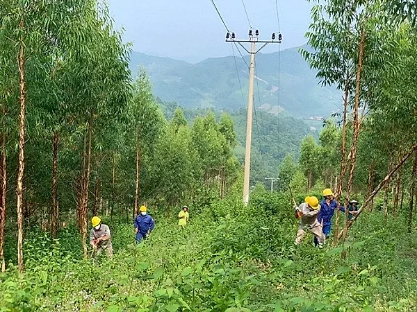 Giữ an toàn lưới điện từ ý thức, trách nhiệm cộng đồng