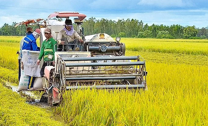Sản xuất nông nghiệp phục hồi, nuôi trồng thủy sản tiếp tục khởi sắc — Cục Thống kê