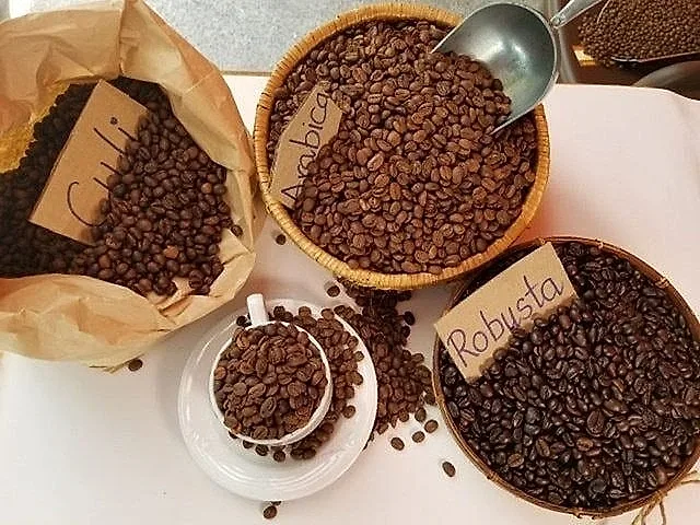 Xuất khẩu cà phê chế biến tăng, thúc đẩy giá trị ngành hàng