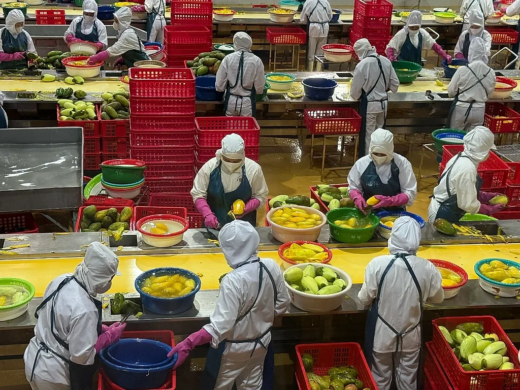 Xuất khẩu rau quả tăng trưởng ấn tượng trong 5 tháng đầu năm 2026 — Hiệp hội Rau quả Việt Nam