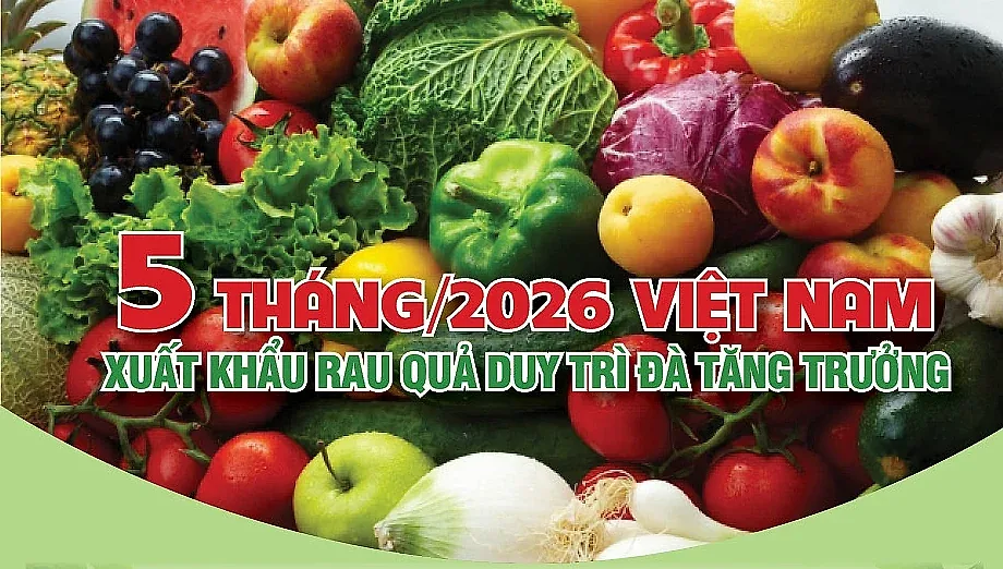 Infographic | 5 tháng/2026, xuất khẩu rau quả duy trì đà tăng trưởng — Hiệp hội Rau quả Việt Nam