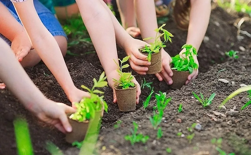 VÌ MỘT NỀN VĂN MINH SINH THÁI, MỘT VIỆT NAM XANH VÀ MỘT ĐẠI DƯƠNG HÒA BÌNH, BỀN VỮNG- Ảnh 3.