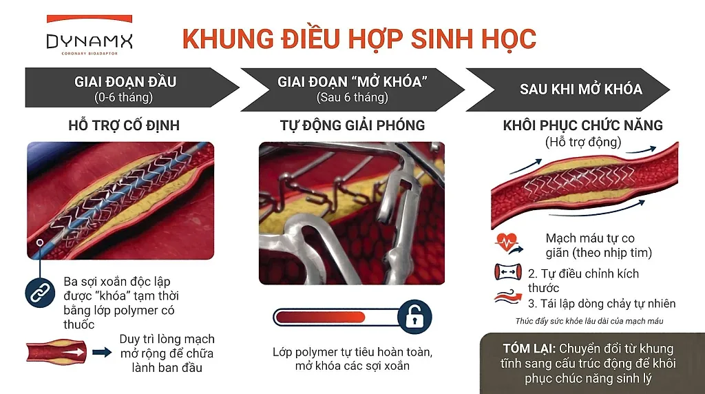 Hội nghị Tim mạch châu Âu 2026 công bố kết quả nghiên cứu mới