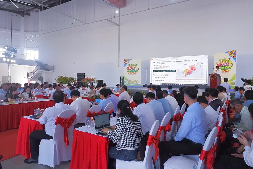 Đồng Tháp định hướng nâng tầm chuỗi giá trị trái cây chủ lực — Sở Công Thương Đồng Tháp