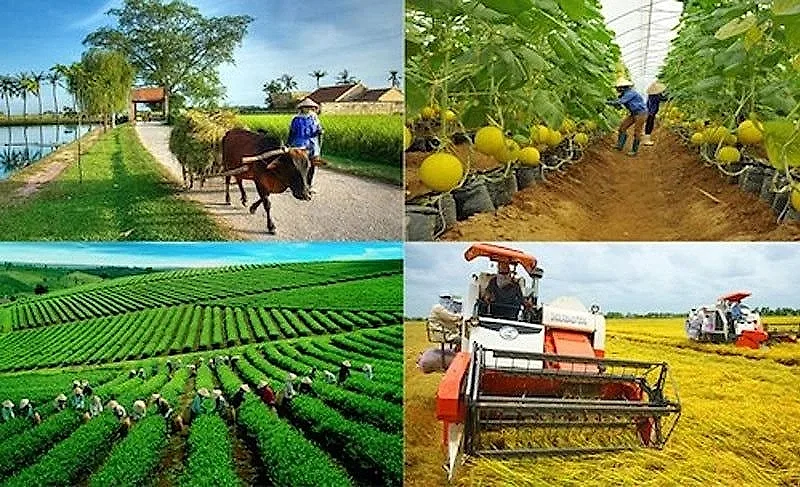 Tạo điều kiện mở rộng tín dụng, tăng khả năng tiếp cận sản phẩm, dịch vụ ngân hàng của khu vực nông nghiệp, nông thôn, nông dân — Ngân hàng Nhà nước
