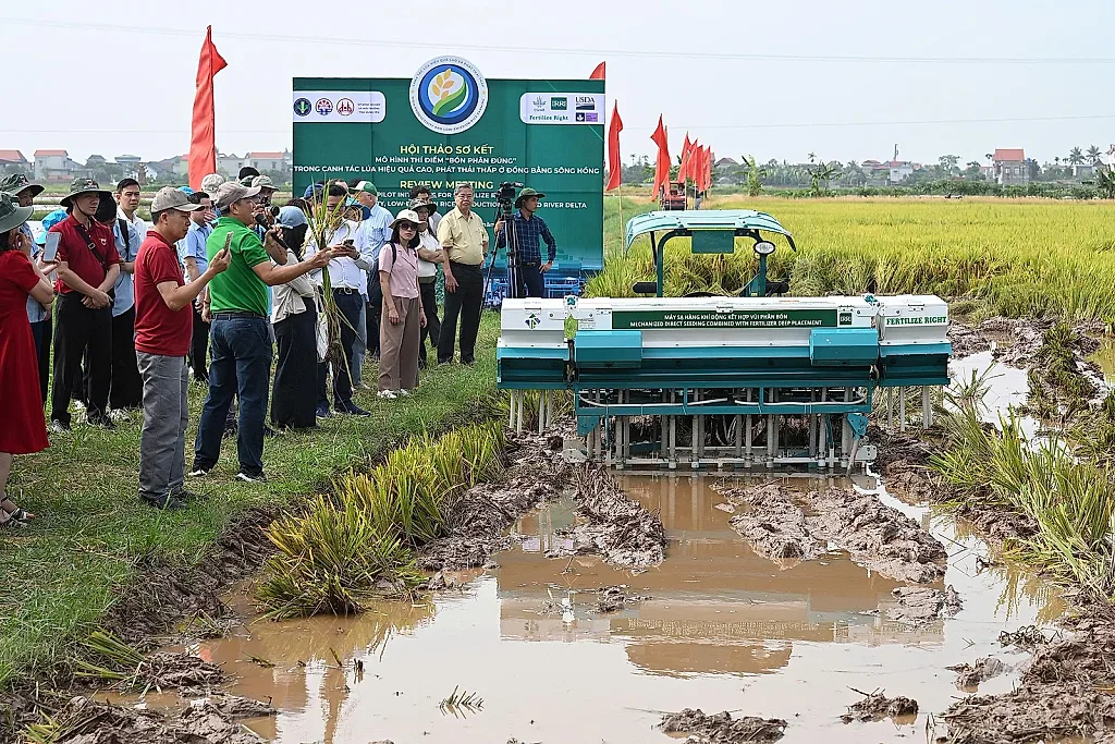 Lúa gạo phát thải thấp: Lợi ích kép cho nông dân và môi trường