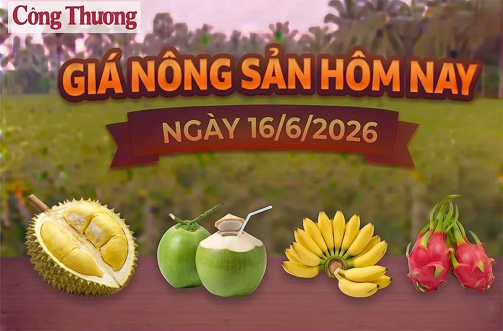 Giá nông sản hôm nay, ngày 16/6: Chuối ngự tiến vua được giá
