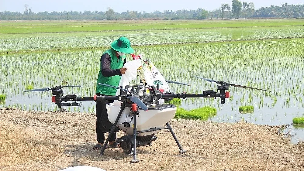 nông dân dùng drone trồng lúa