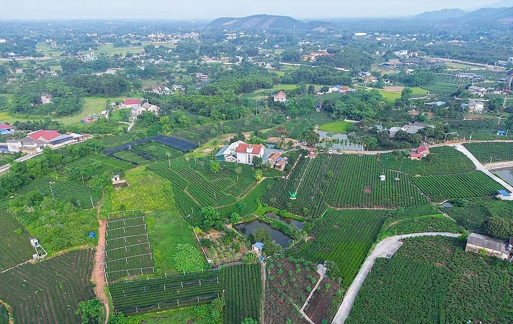 Xã Tân Cương, Thái Nguyên