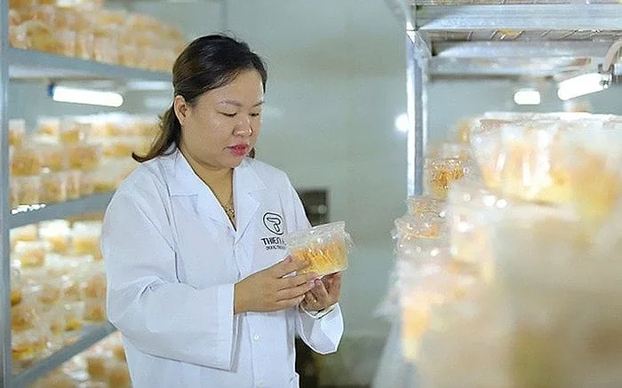 Khởi nghiệp với đông trùng hạ thảo: Nữ kỹ sư biến đam mê thành doanh nghiệp doanh thu hơn 40 tỷ đồng mỗi năm