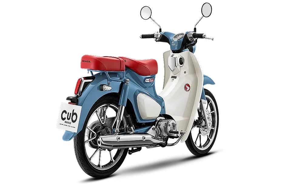 cub2.png