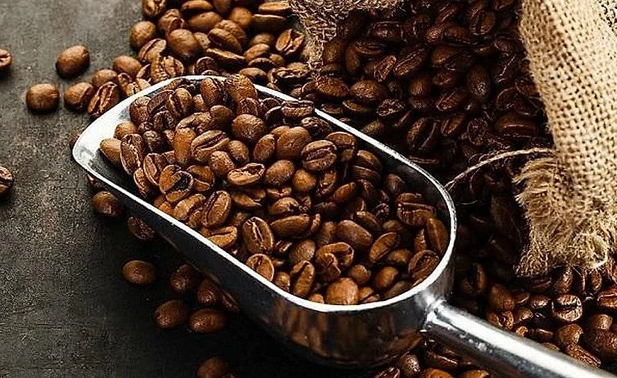 giacaphe.jpg