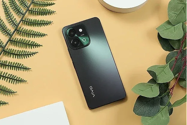 vivo2.webp