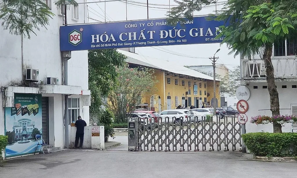 dgc28.jpg