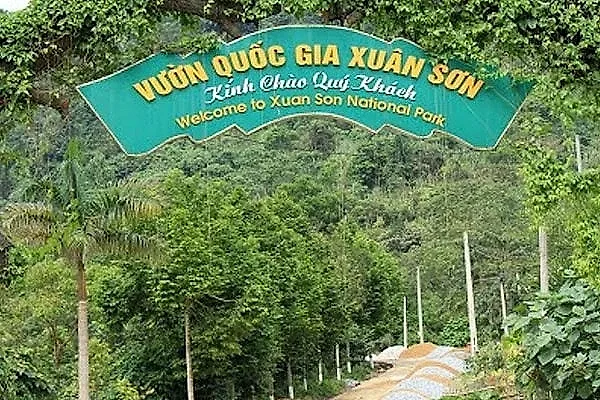 Xuân Sơn