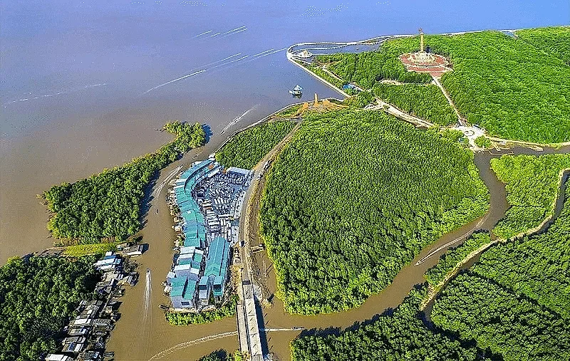 Vùng đất nơi cực Nam Tổ quốc: 4 ngày 3 đêm trải nghiệm rừng ngập mặn và biển đảo vẫn chưa khám phá hết