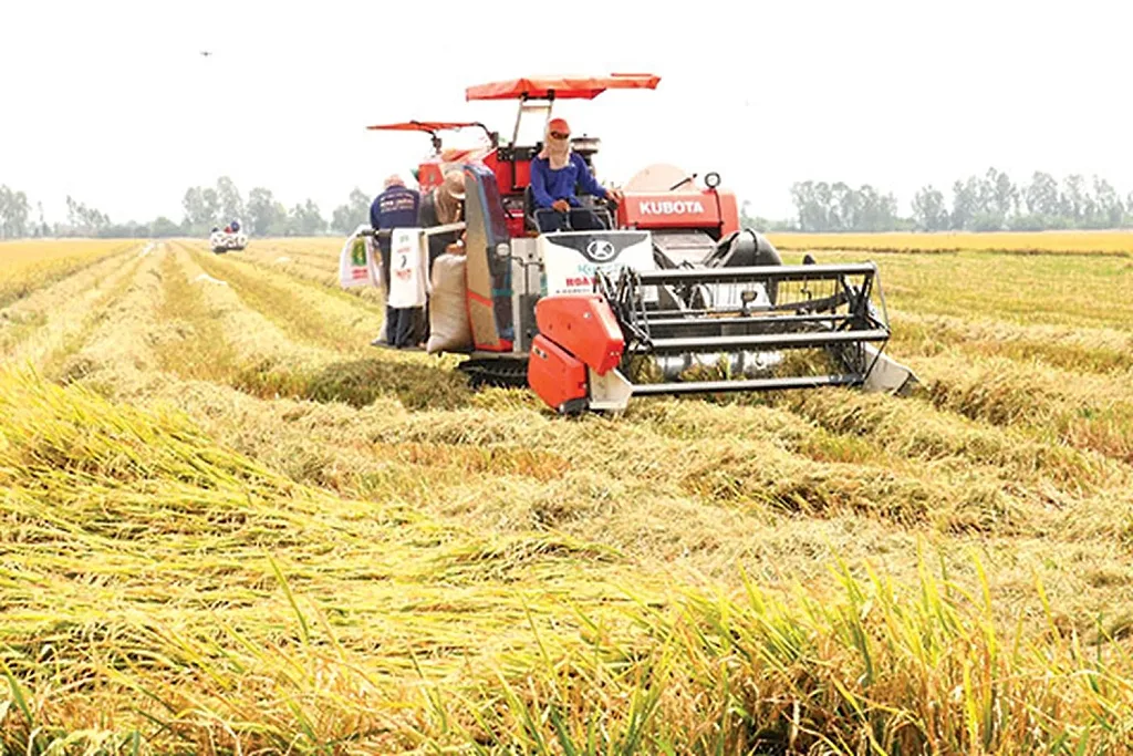 Xuất khẩu gạo đón cơ hội từ nhu cầu nhập khẩu gia tăng