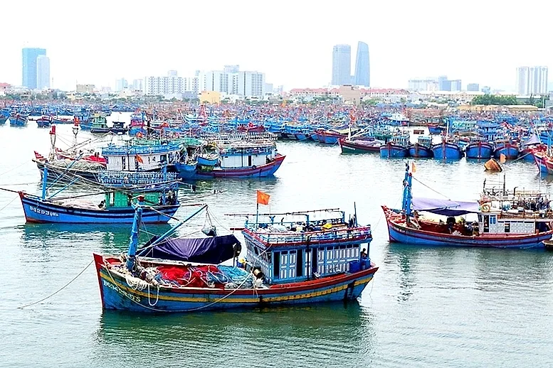 Vi phạm về xuất nhập khẩu thủy sản sống bị phạt tới 50 triệu đồng