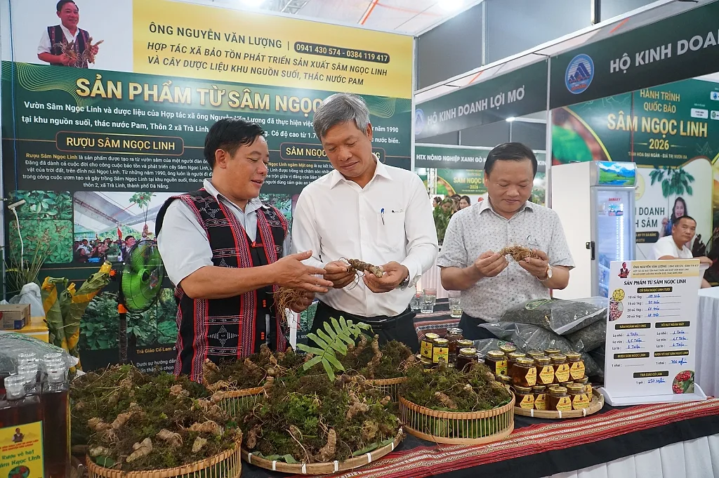 Đà Nẵng: Quảng bá sâm Ngọc Linh và dược liệu đến du khách