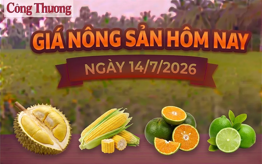 Giá nông sản hôm nay, ngày 14/7: Giá cam sành tăng mạnh