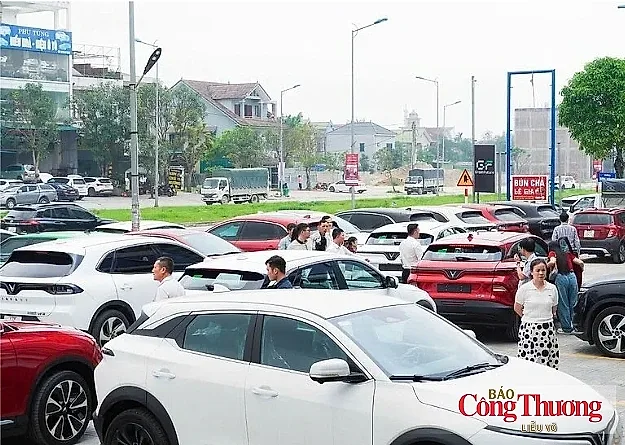 Nghệ An có khoảng 30.000 ô tô điện vào năm 2030
