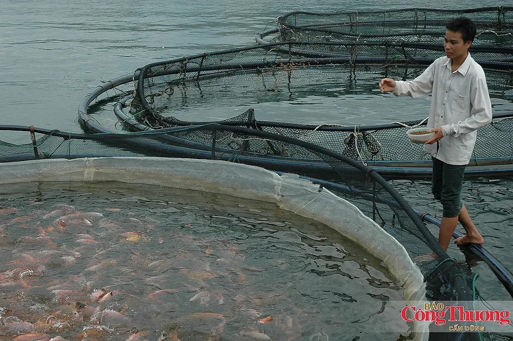 Lời giải cho khí mê-tan từ mô hình lúa - tôm — Đảng ủy xã Ninh Thạnh Lợi