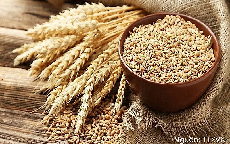 Nguồn cung toàn cầu thắt chặt, giá lúa mì tăng mạnh