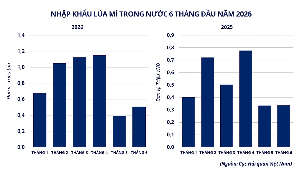 anh-5-nhap-khau-lua-mi-trong-nuoc-6-thang-dau-nam-2026.png