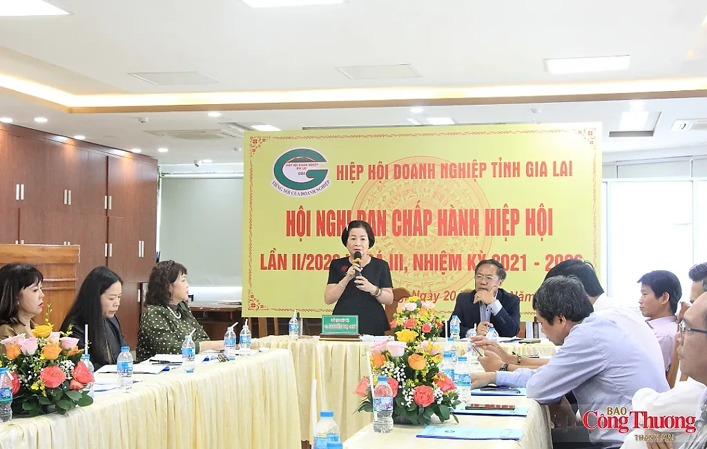 Hiệp hội Doanh nghiệp tỉnh Gia Lai vượt khó, tạo sức bật chặng đường mới