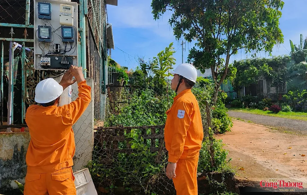 PC Gia Lai tăng trưởng toàn diện trong 6 tháng đầu năm 2026