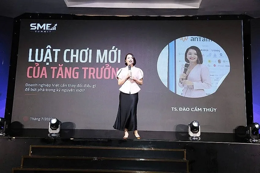 ts.-dao-cam-thuy-giang-vien-truong-dai-hoc-kinh-te-dai-hoc-qghn-chuyen-gia-tu-van-thuong-hieu-va-marketing.jpg