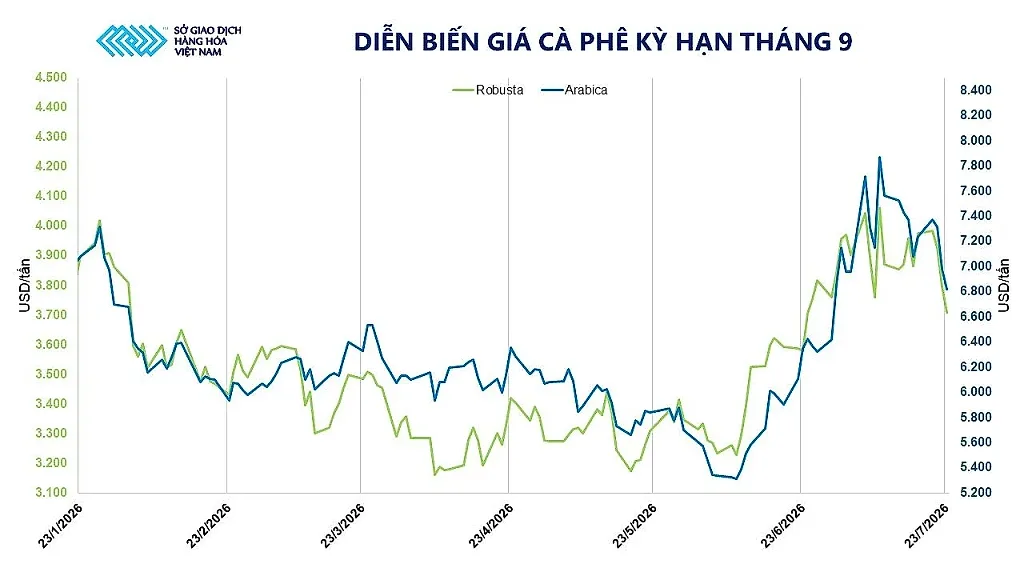 anh-4_-dien-bien-gia-ca-phe-ky-han-thang-9.jpg