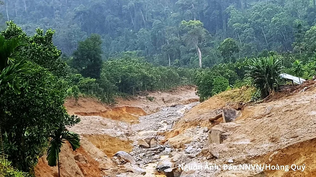 Chủ động ứng phó mưa lớn, gió mạnh trên biển ở Trung Bộ và Nam Bộ