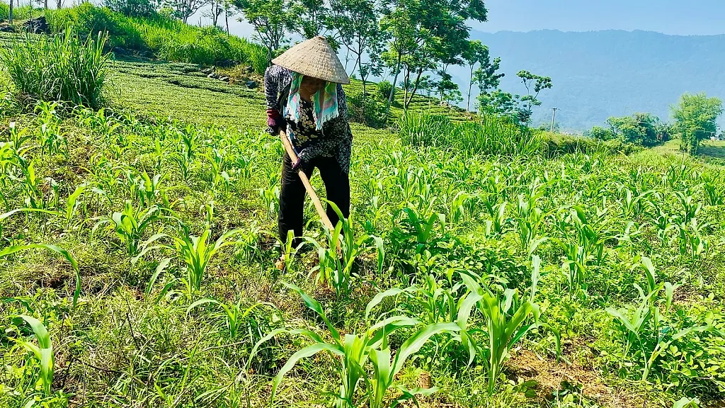 Ban hành Chương trình công tác năm 2026 về các chương trình mục tiêu quốc gia
