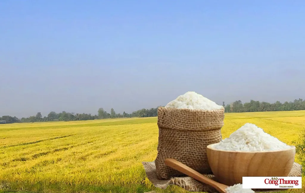Giá lúa gạo hôm nay ngày 28/7/2026: Gạo xuất khẩu tăng — Hiệp hội Lương thực Việt Nam